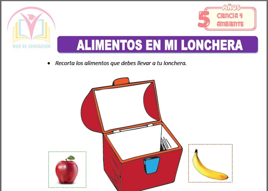 Alimentos en mi lonchera para cinco años