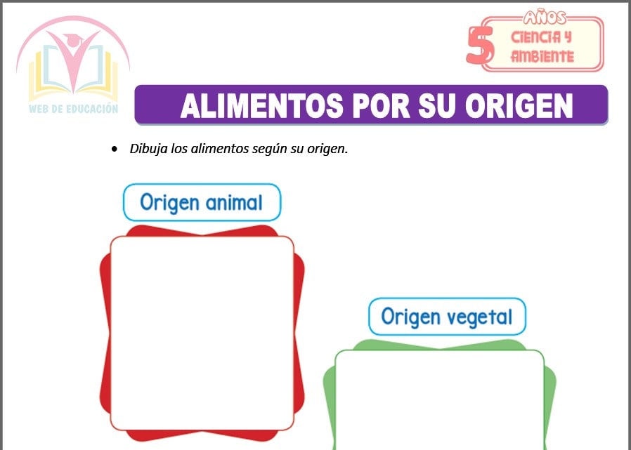 Alimentos por su origen Para Cinco Años Alimentos por su origen para cinco años