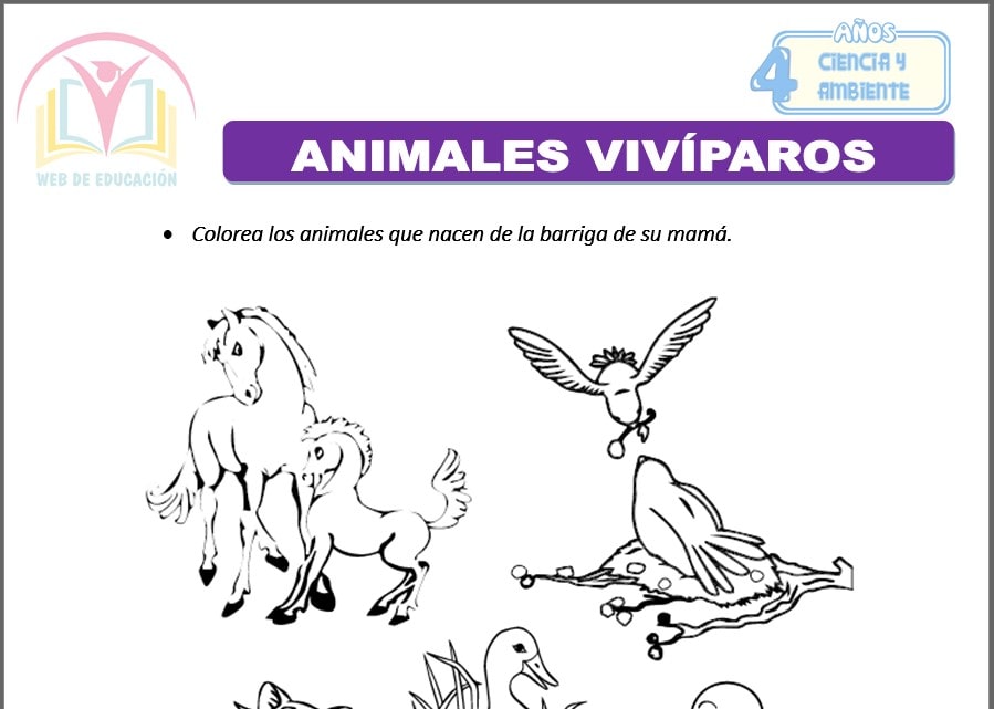 Animales vivíparos para cuatro años