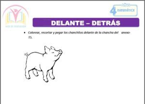 Delante - detrás para cuatro años