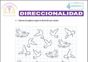 Direccionalidad para cuatro años
