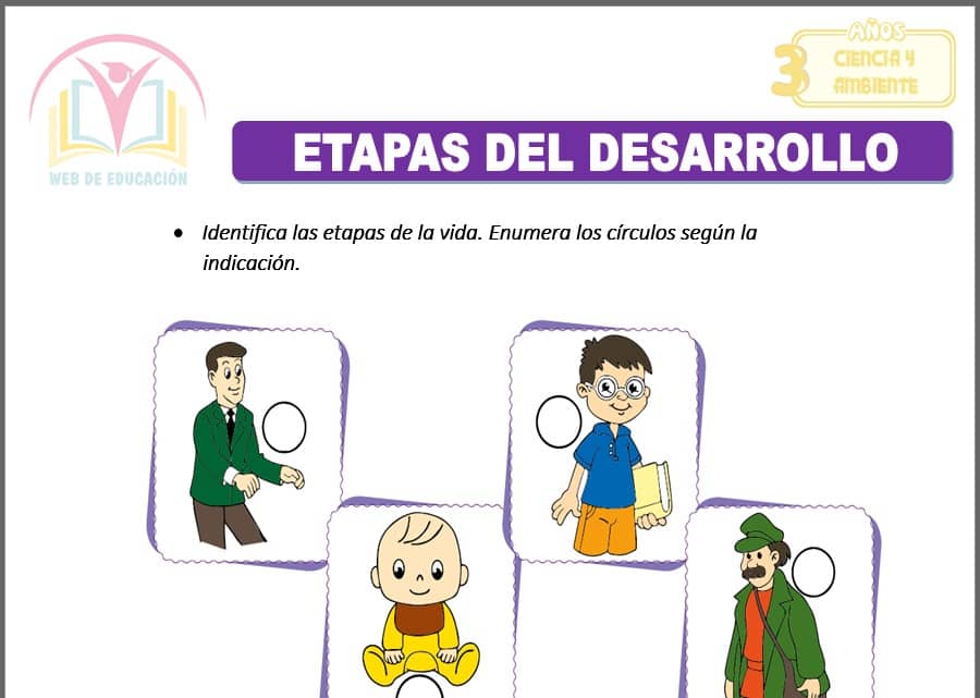 Etapas del desarrollo para tres años