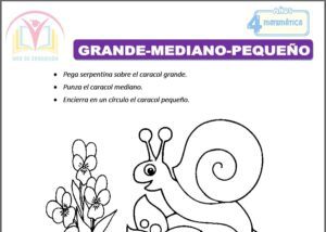 Grande-Mediano-Pequeño para cuatro años