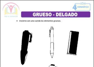 Grueso - delgado para cuatro años