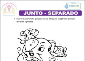 Junto - separado para cuatro años