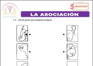 La asociación para cinco años