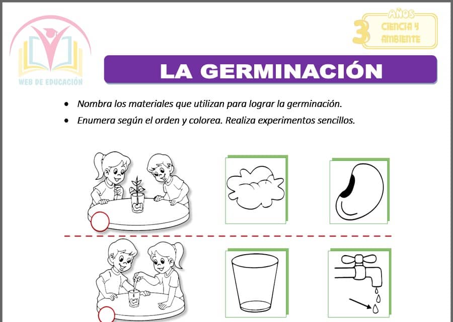 La germinación para tres años