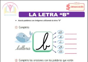 La letra “B” para cinco años