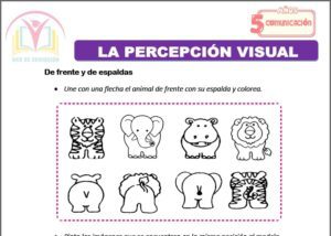 La percepción visual para cinco años