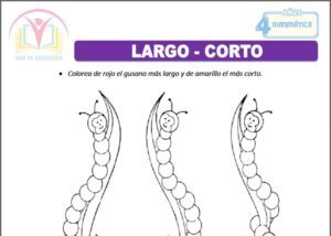 Largo - Corto para cuatro años