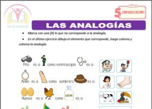 Las analogías para cinco años