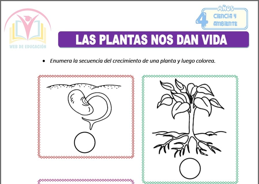 Las plantas nos dan vida para cuatro años