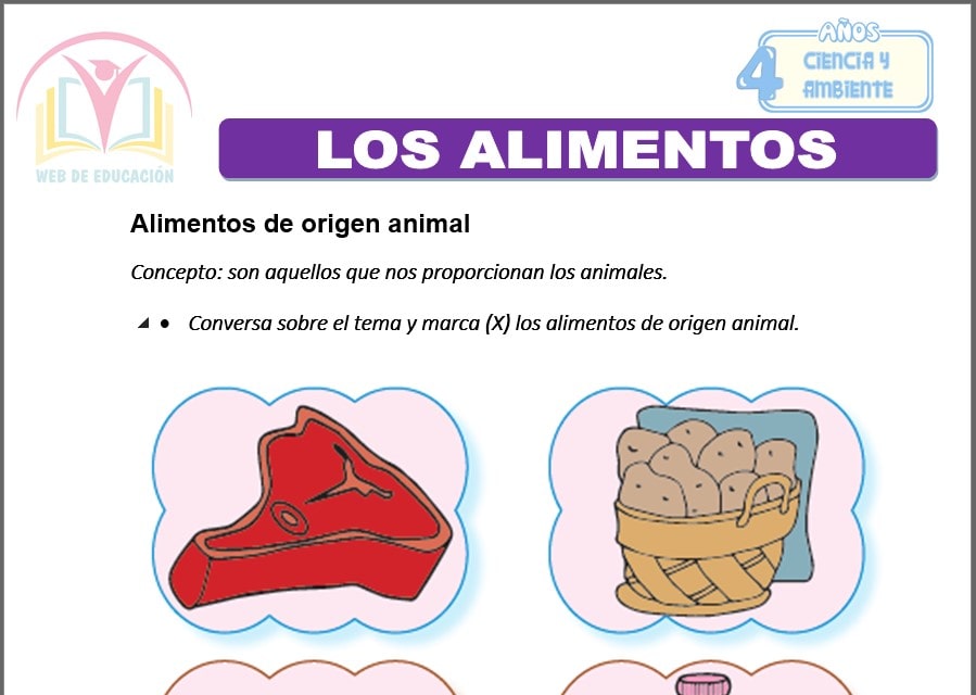 Los alimentos para cuatro años