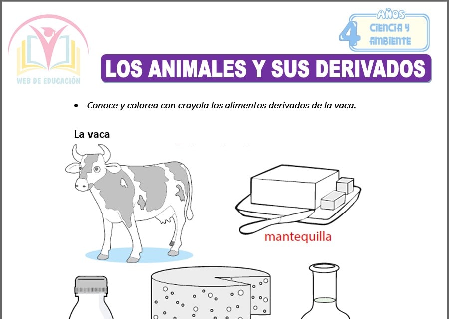 Los animales y sus derivados para cuatro años