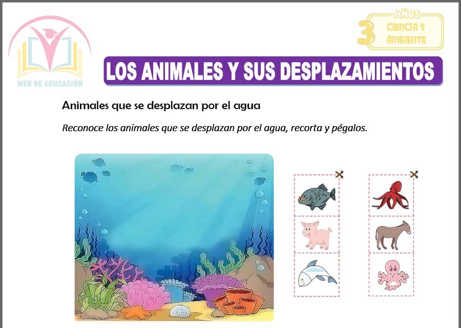 Los animales y sus desplazamientos para tres años