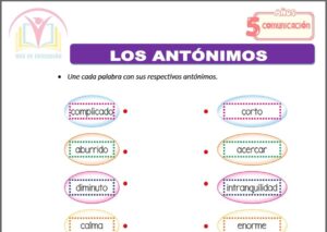Los antónimos para cinco años