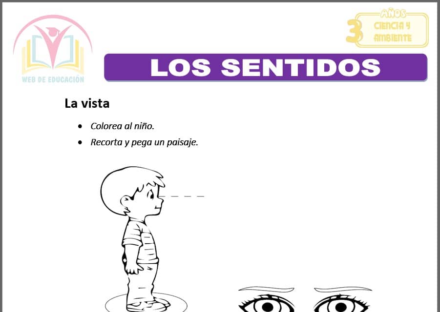 Los sentidos para tres años