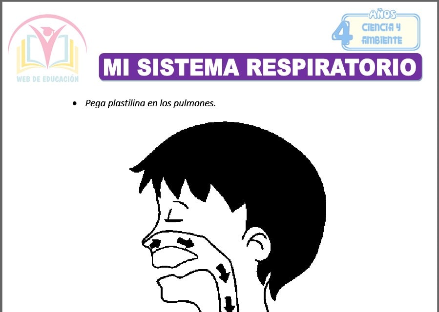 Mi sistema respiratorio para cuatro años