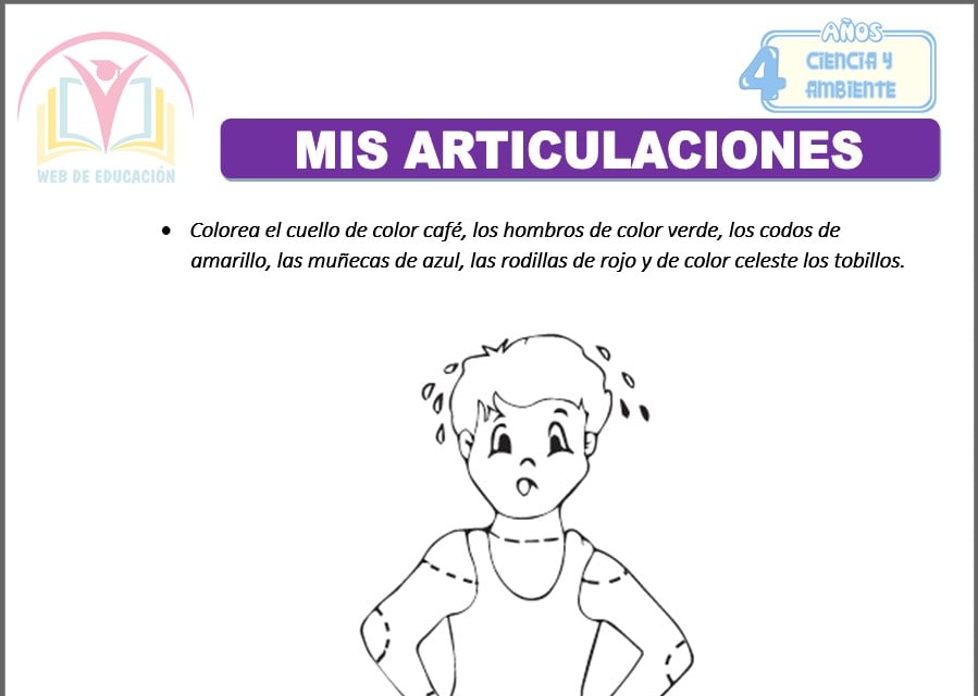 Mis articulaciones para cuatro años