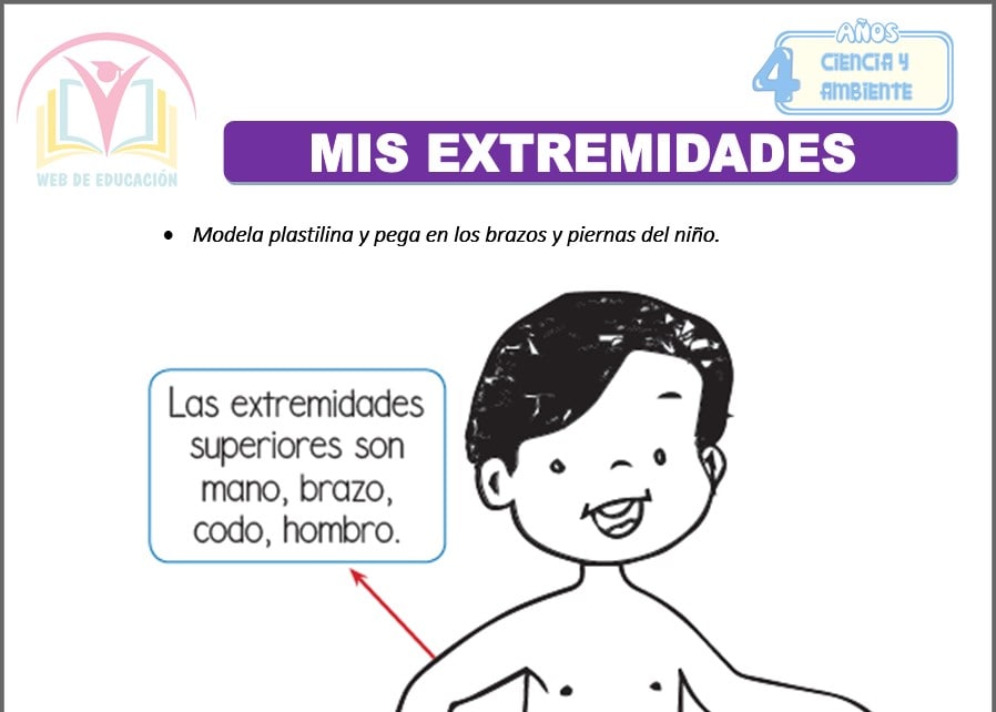 Mis extremidades para cuatro años