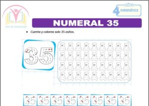 Numeral 35 para cuatro años