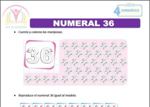 Numeral 36 para cuatro años