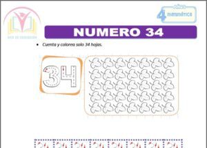Numero 34 para cuatro años