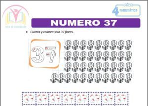 Numero 37 para cuatro años