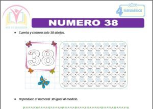 Numero 38 para cuatro años
