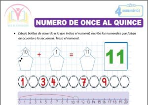 Numero de once al quince para cuatro años