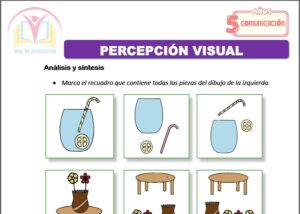 Percepción visual para cinco años