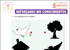 Reforzando mis conocimientos para cinco años