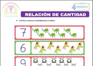 Relación de cantidad para cuatro años