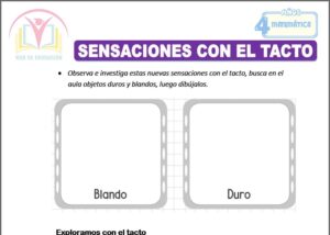Sensaciones con el tacto para cuatro años