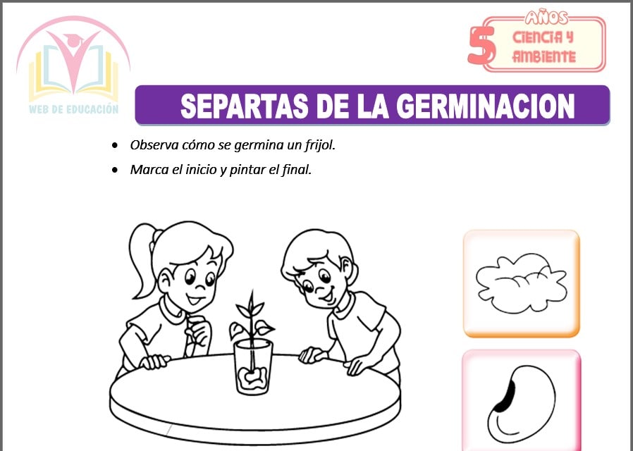Separatas de La germinación para cinco años