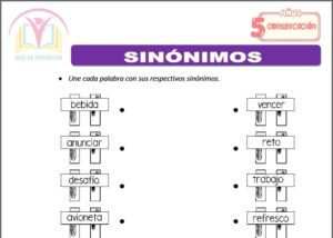 Sinónimos para cinco años