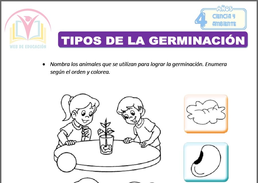 Tipos de la germinación para cuatro años
