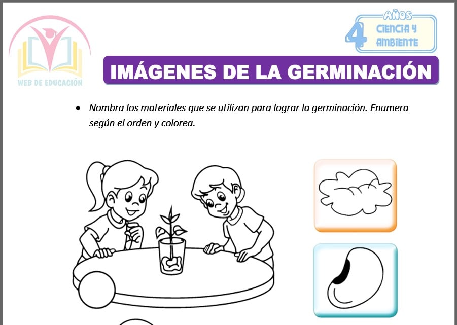 imágenes de la germinación para cuatro años